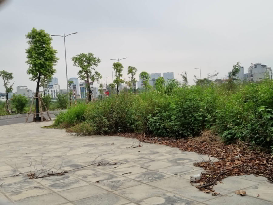 Công trình hạ tầng đã thi công xong từ lâu đang để cỏ mọc um tùm.