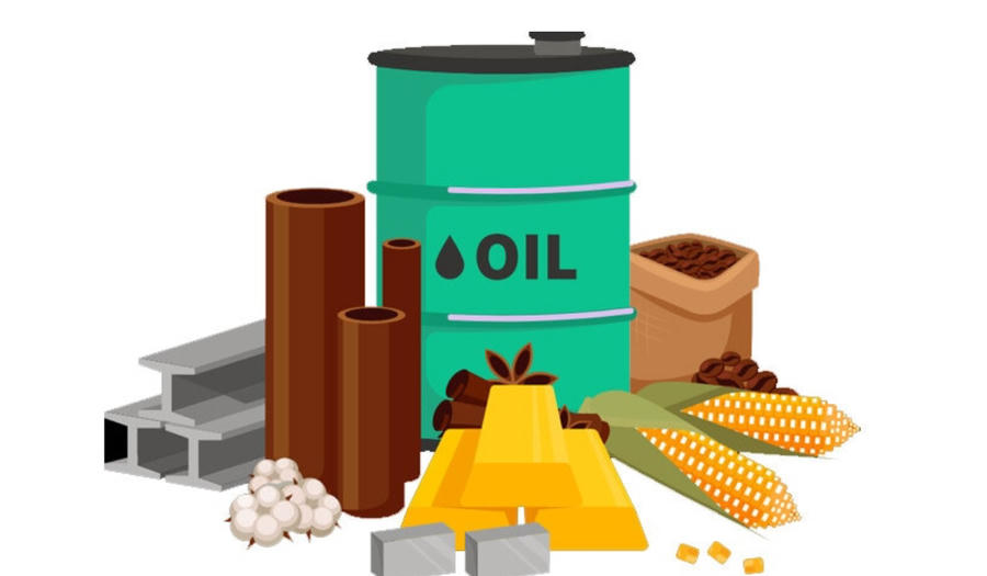 Bên cạnh nỗ lực điện tử hóa, Bộ Công Thương cũng thực hiện chính sách hỗ trợ tài chính trực tiếp khi tiếp tục lộ trình giảm phí cấp C/O. Ảnh IT