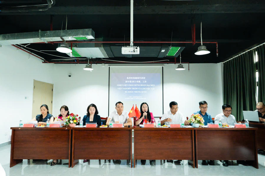 Đoàn đại biểu Việt - Trung tham dự lễ ký kết hợp tác giáo dục nghề nghiệp và phát triển nguồn nhân lực (tại Hà Khẩu, Vân Nam, Trung Quốc).