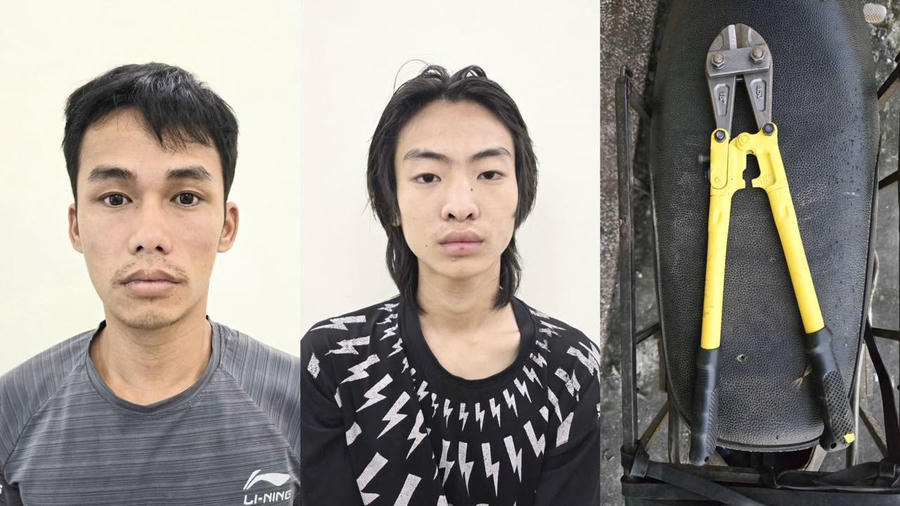 Các đối tượng bị bắt vì hành vi trộm cắp dây điện tại các trạm biến áp. (Ảnh: CA Tuyên Quang).