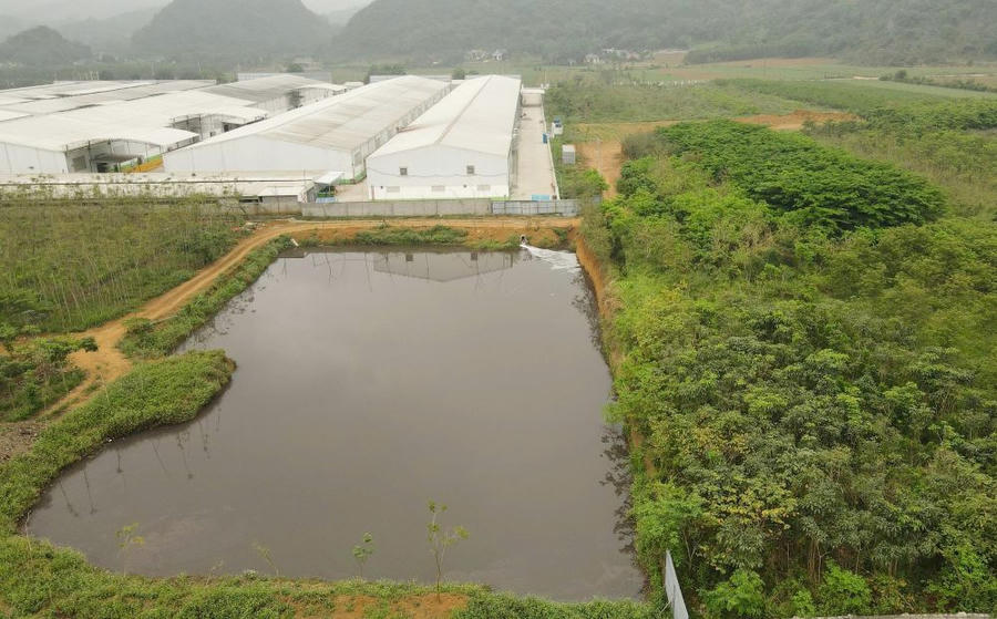 Buộc tạm ngừng hoạt động nhà máy giặt là của Công ty TNHH BOB Hà Nội sau sự cố nước giếng khoan của người dân chuyển sang màu tím đỏ. Ảnh: Quách Du