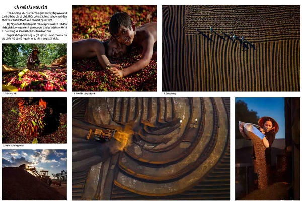 Huy chương Vàng - Tác phẩm ảnh: Cà phê Tây Nguyên - Tác giả: Nguyễn Khắc Hào (Hưng Yên).