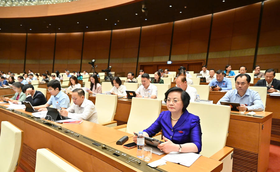 Các đại biểu tại phiên. Ảnh: Quang Khánh