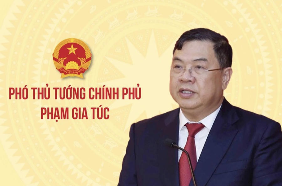 Phó Thủ tướng Thường trực Phạm Gia Túc.