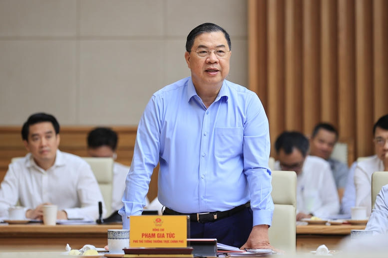 Phó Thủ tướng Thường trực Chính phủ Phạm Gia Túc phát biểu - Ảnh: VGP