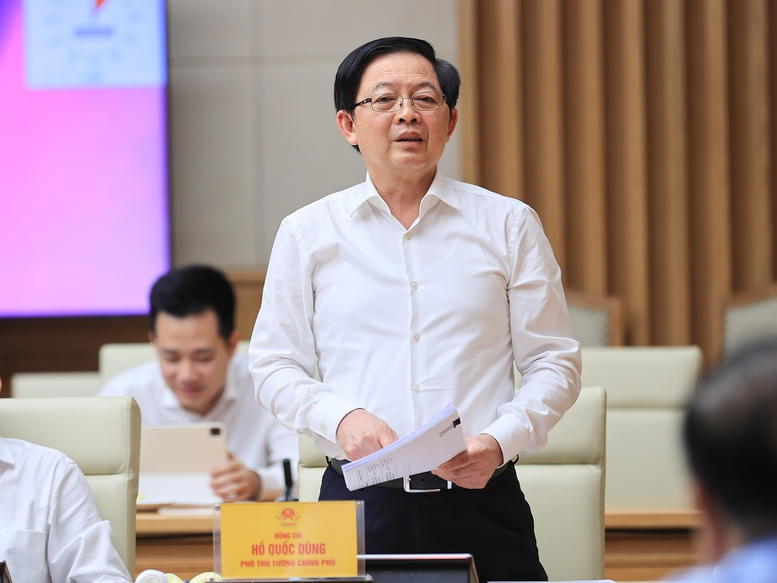 Phó Thủ tướng Chính phủ Hồ Quốc Dũng phát biểu - Ảnh: VGP.