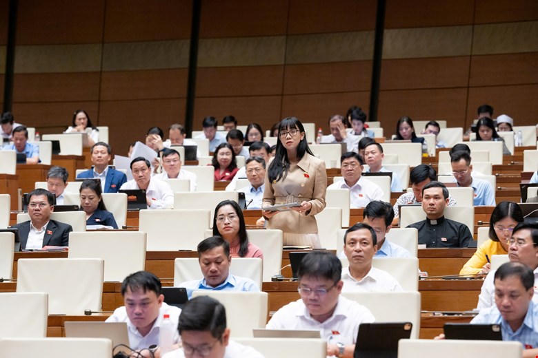 Đại biểu Trịnh Thị Tú Anh.