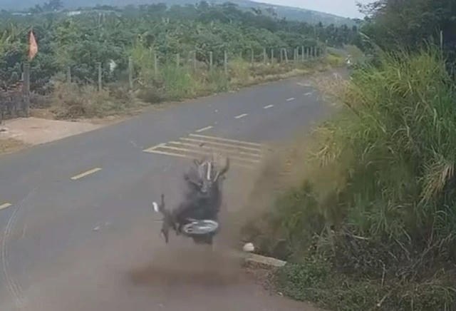 Hiện trường vụ tai nạn khiến nam sinh lớp 12 tử vong ở Đắk Lắk. Ảnh chụp màn hình.