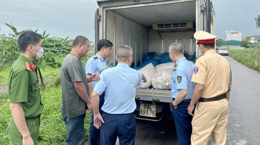 Lực lượng Quản lý thị trường (QLTT) tỉnh Hưng Yên phối hợp các đơn vị chức năng kịp thời phát hiện, ngăn chặn 1 tấn lòng lợn ôi thiu trên đường vận chuyển đi tiêu thụ.