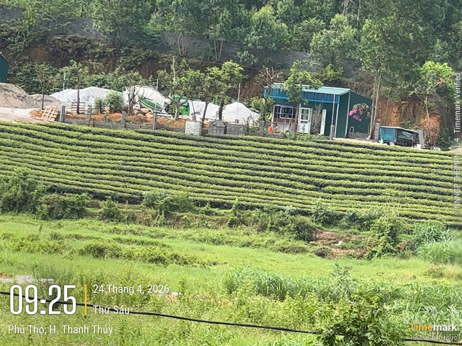 Hiện trạng cối trộn bê tông cũng như nhà điều hành bằng khung sắt, lợp mái tôn cùng các đống cát sỏi sau 1 ngày có lệnh yêu cầu tháo dỡ trả lại nguyên trạng ban đầu. Ảnh chụp ngày 24/4/2026.