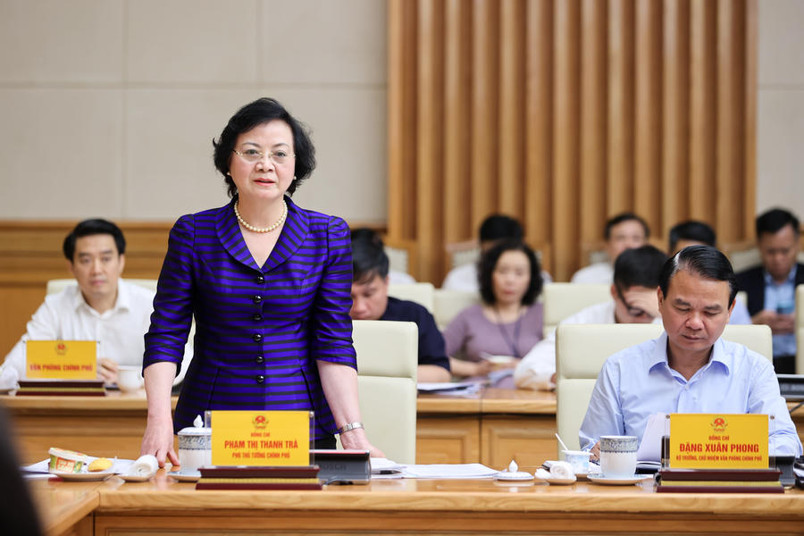 Phó Thủ tướng Chính phủ Phạm Thị Thanh Trà phát biểu tại cuộc họp. (Ảnh: VGP)