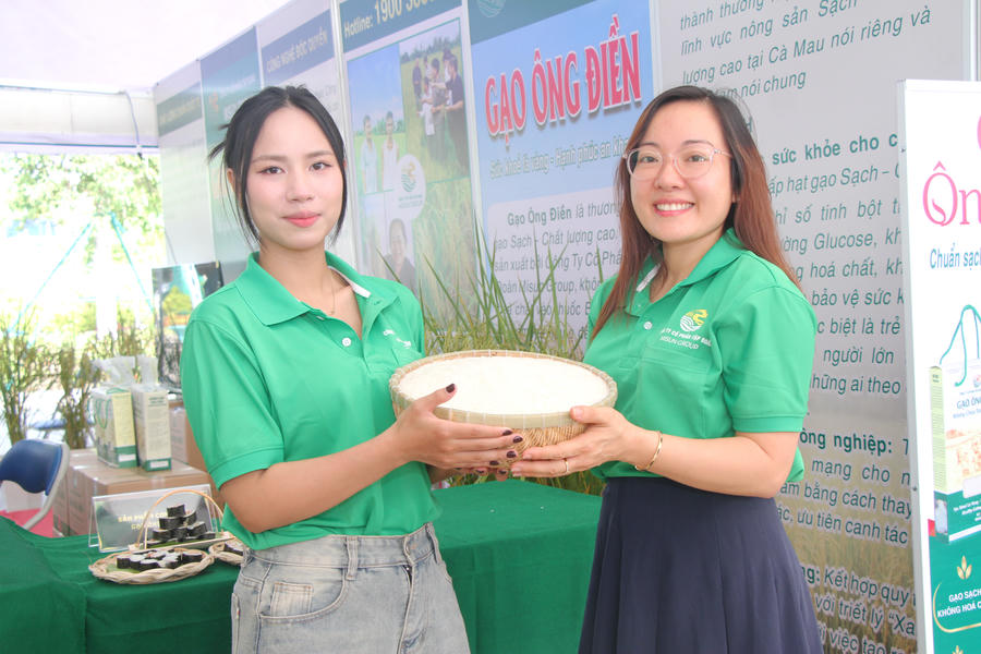 Cuộc thi gạo ngon Đồng bằng sông Cửu Long năm 2026 kỳ vọng tôn vinh gạo chất lượng cao, thúc đẩy liên kết chuỗi giá trị và nâng tầm thương hiệu gạo Việt.