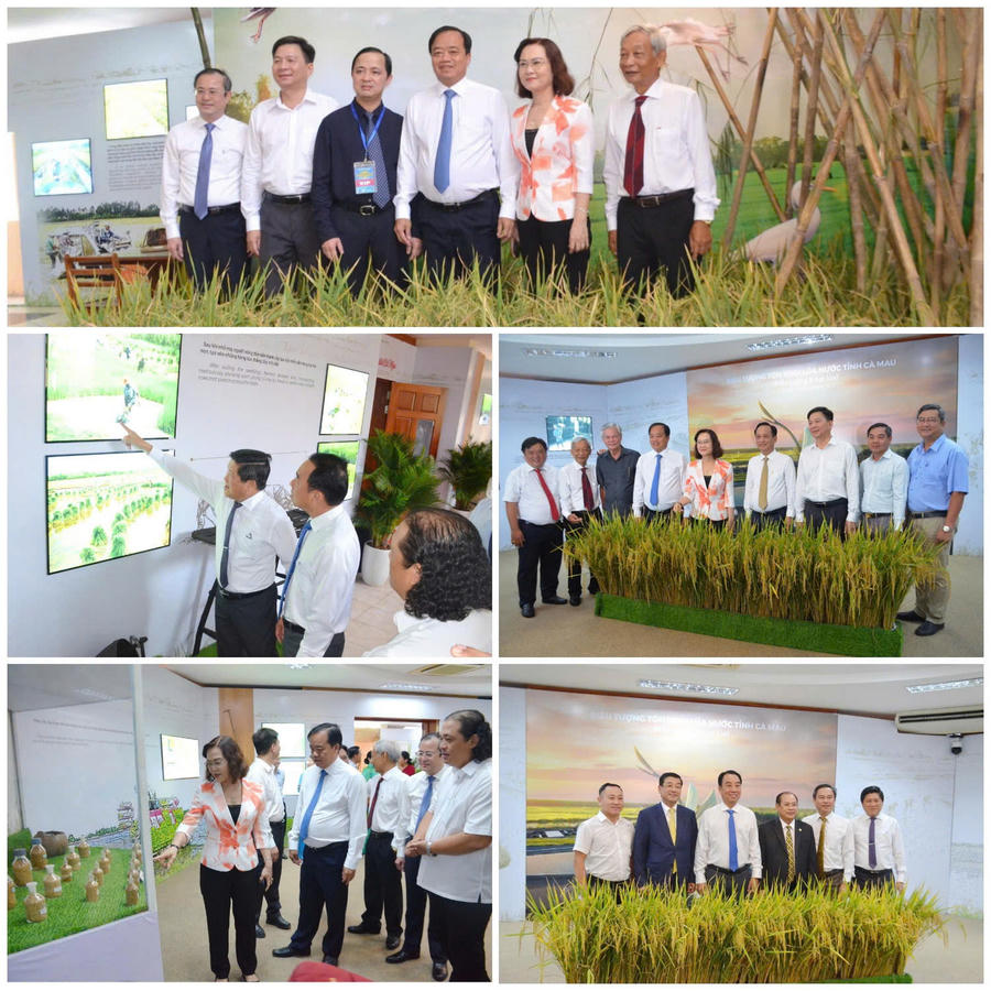 Đại biểu tham quan không gian trưng bày lúa nước tại Bảo tàng Lúa nước tỉnh Cà Mau.