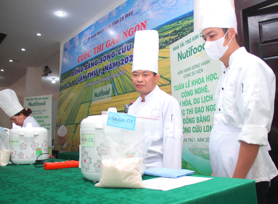 Sau vòng chấm điểm cảm quan, các mẫu gạo được đưa đi nấu để tham gia vòng đánh giá tiếp theo.