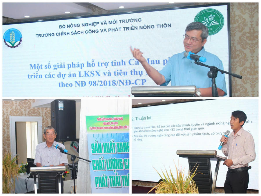 Các đại biểu tập trung phân tích những điểm nghẽn chính trong liên kết sản xuất lúa gạo, gồm khó khăn về tín dụng, năng lực quản trị hợp tác xã, dự báo thị trường, vai trò doanh nghiệp đầu tàu và tiềm năng phát triển tín chỉ carbon trong sản xuất lúa phát thải thấp.