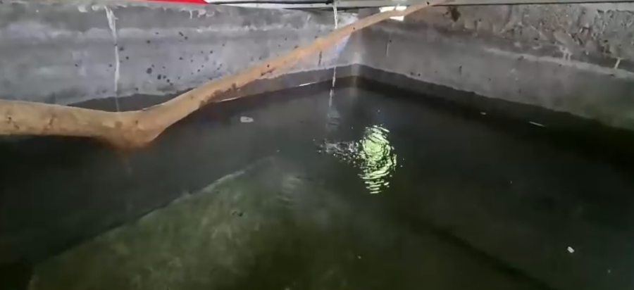 Người dân xã Quản Bạ phải sử dụng nguồn nước sinh hoạt bị ô nhiễm.