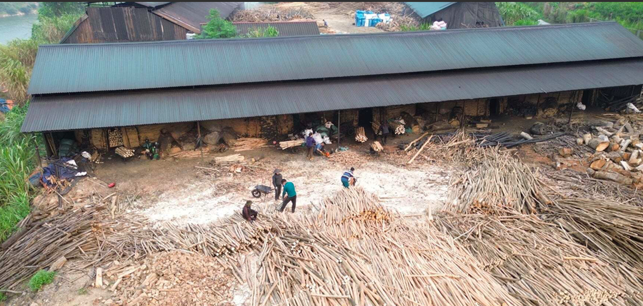 Chủ tịch UBND tỉnh Lào Cai chỉ đạo nóng xử lý cơ sở đốt than củi gây ô nhiễm môi trường ở Đông Cuông