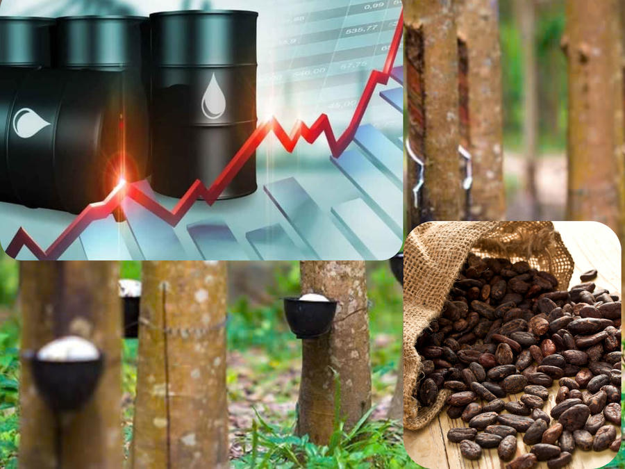 Giá cao su tiếp tục duy trì xu hướng đi lên nhờ tác động kép từ chi phí năng lượng và nhu cầu tiêu thụ.