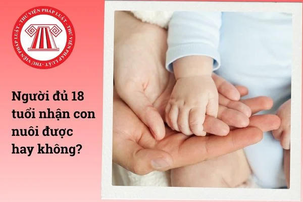 Ảnh minh họa. (Nguồn: thuvienphapluat.vn)