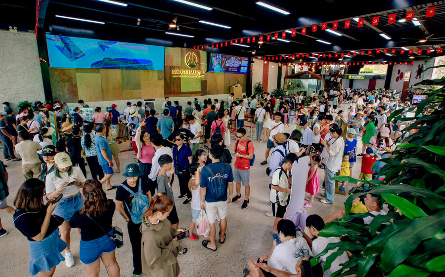 Trong 4 ngày nghỉ lễ Mộc Châu Island thu hút hơn 13.000 lượt khách.