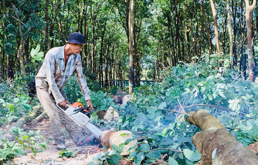 Dự án tái định cư cao tốc Gia Nghĩa - Chơn Thành đang được đẩy nhanh, cùng với công tác giải phóng mặt bằng còn lại tại xã Bù Đăng.