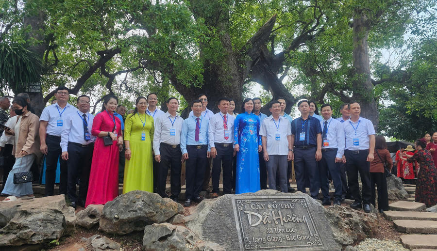 Các đại biểu tham quan cây Dạ Hương nghìn năm tuổi