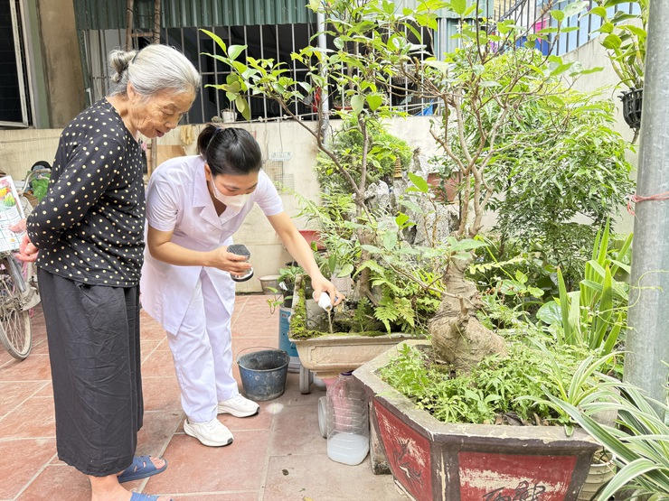 Cán bộ y tế  Hà Nội hướng dẫn người dân sử dụng Abate rắc vào các dụng cụ chứa nước nơi muỗi thường đẻ trứng như bể cảnh, lọ hoa... để phòng chống sốt xuất huyết. Ảnh: SYT HN