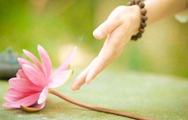 (Hình minh họa). (Hình minh họa).