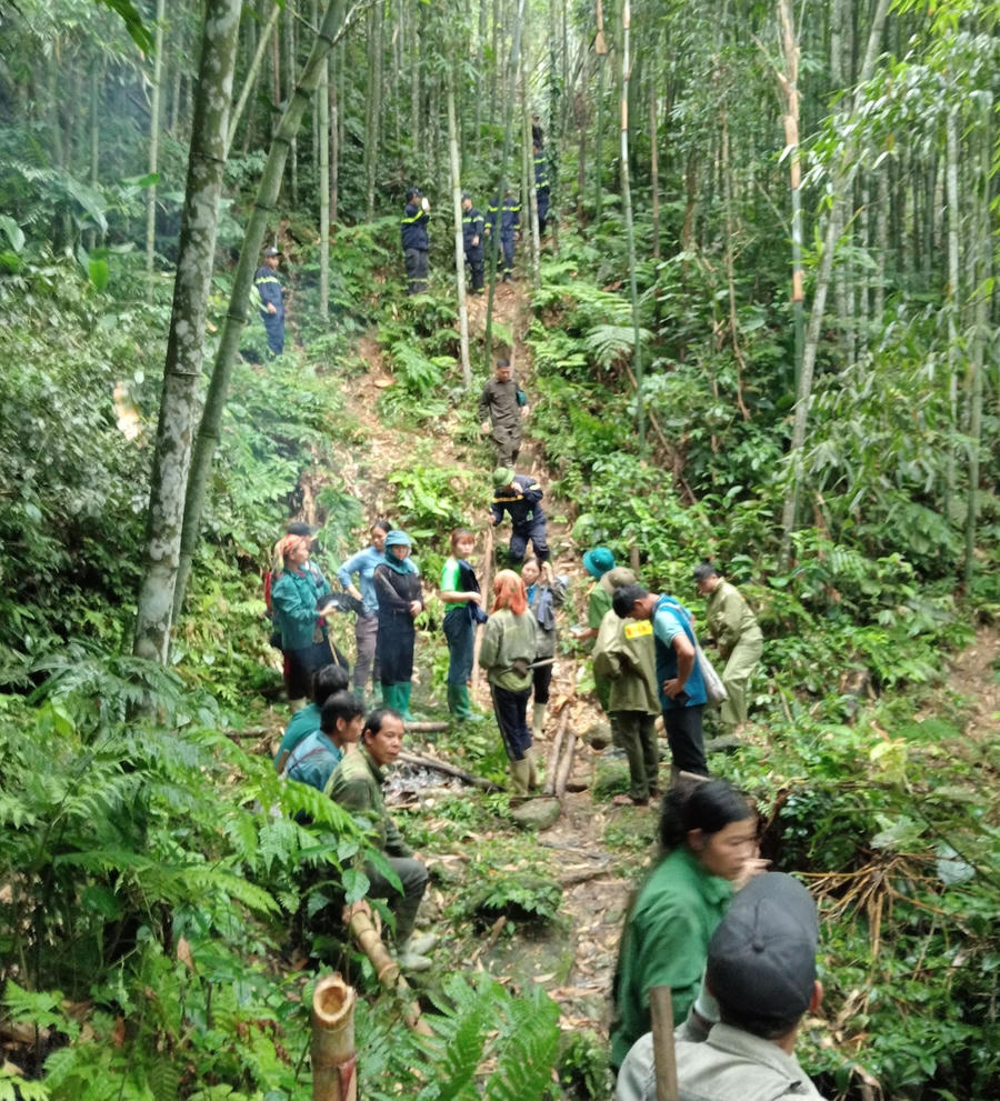 Các lực lượng chức năng cùng người dân đang tổ chức tìm kiếm người đàn ông mất tích trong rừng. (Ảnh: CTV).