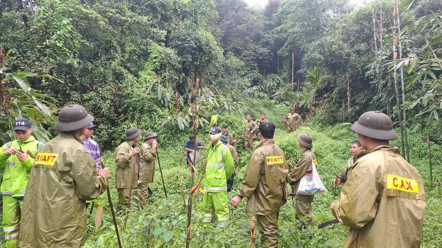 Lực lượng chức năng cùng người dân vẫn đang tích cực tìm kiếm manh mối về ông Tá sau khi ông đi rừng tìm dược liệu và mất tích.