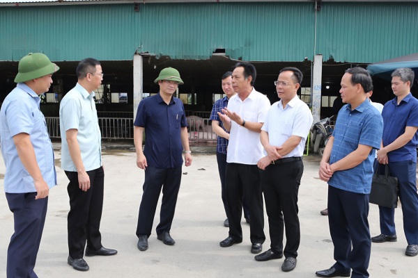 Ông Trần Anh Dũng, Phó Chủ tịch UBND tỉnh Ninh Bình kiểm tra công tác bảo đảm an toàn vệ sinh thực phẩm tại Chợ đầu mối gia súc, gia cầm Hà Nam.