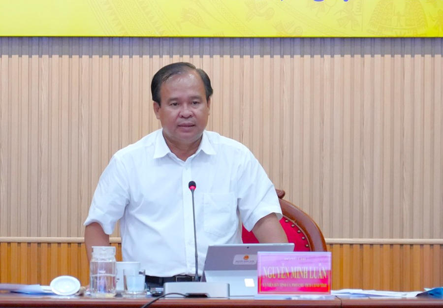 Ông Nguyễn Minh Luân - Ủy viên BTV Tỉnh ủy, Phó Chủ tịch UBND tỉnh Cà Mau phát biểu tại cuộc họp.