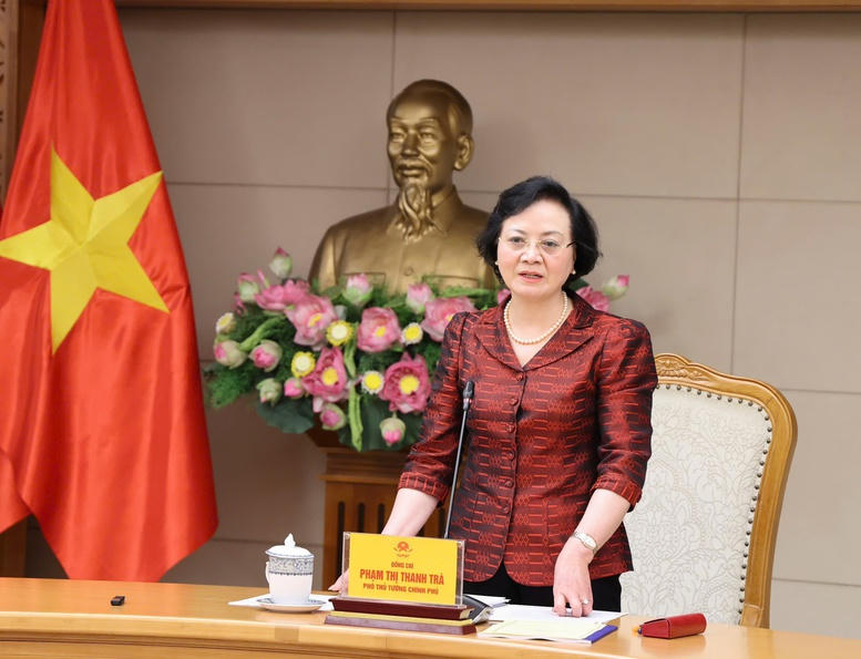 Phó Thủ tướng Phạm Thị Thanh Trà phát biểu chỉ đạo tại buổi làm việc. Ảnh: VGP