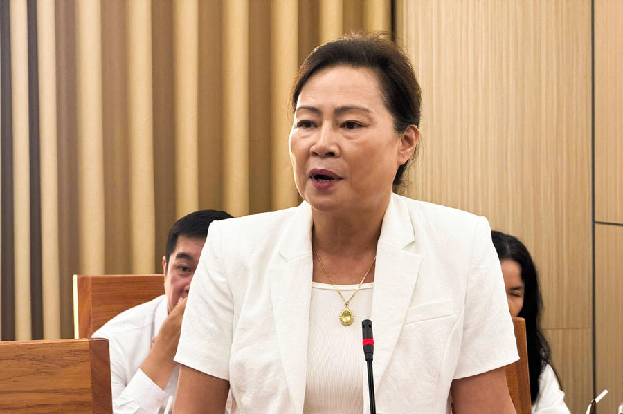 Các đại biểu phát biểu ý kiến.