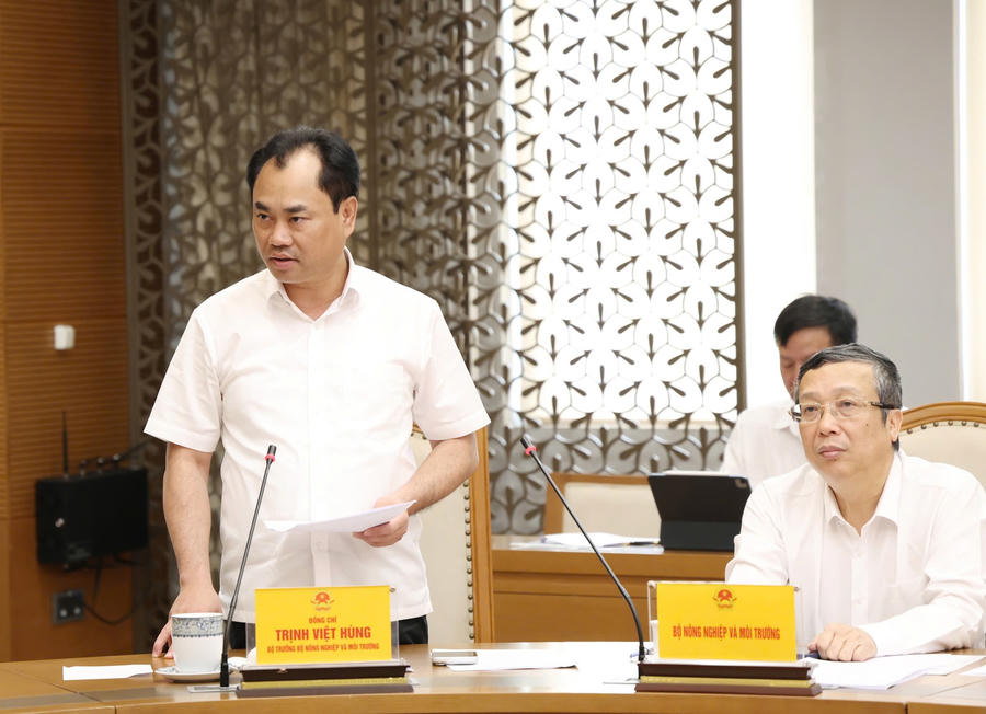 Bộ trưởng Bộ Nông nghiệp và Môi trường Trịnh Việt Hùng phát biểu tại cuộc họp - Ảnh: VGP