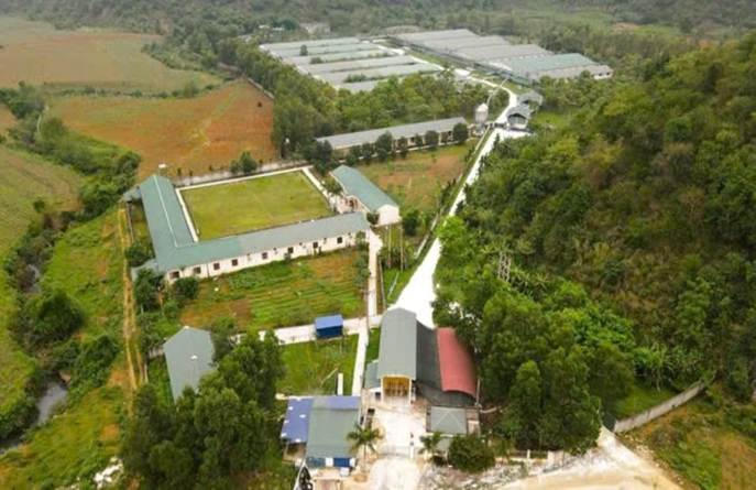 Trang trại chăn nuôi lợn nái theo công nghệ CP Thái Lan tại xã Thạch Quảng. (Ảnh: CATH)