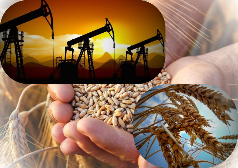 Giá dầu và lúa mì quay đầu giảm sau phiên giao dịch nhiều biến động.