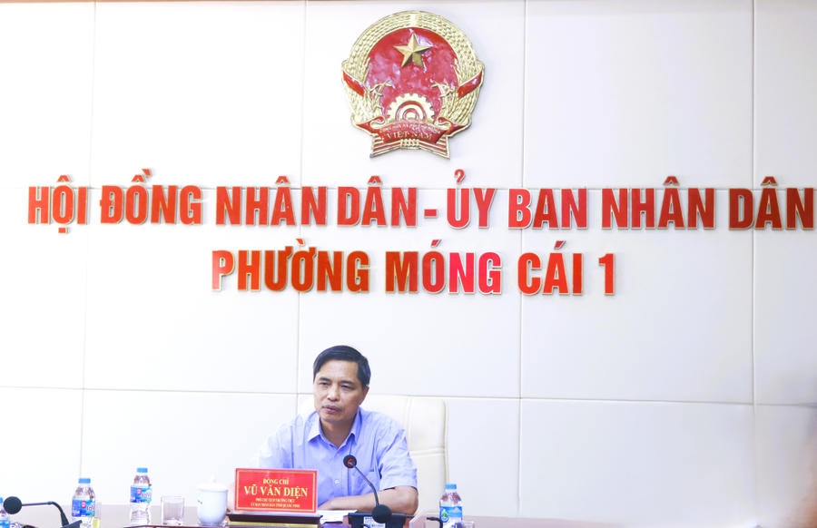 Ông Vũ Văn Diện, Ủy viên Ban Thường vụ Tỉnh ủy, Phó Chủ tịch Thường trực UBND tỉnh Quảng Ninh phát biểu tại cuộc họp.