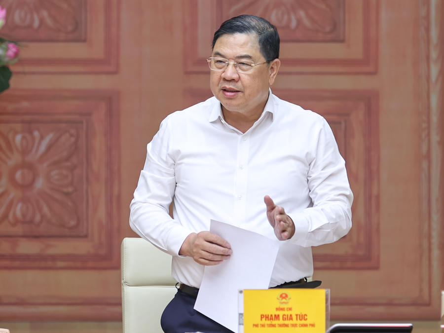 Phó Thủ tướng Thường trực Phạm Gia Túc phát biểu tại cuộc làm việc.