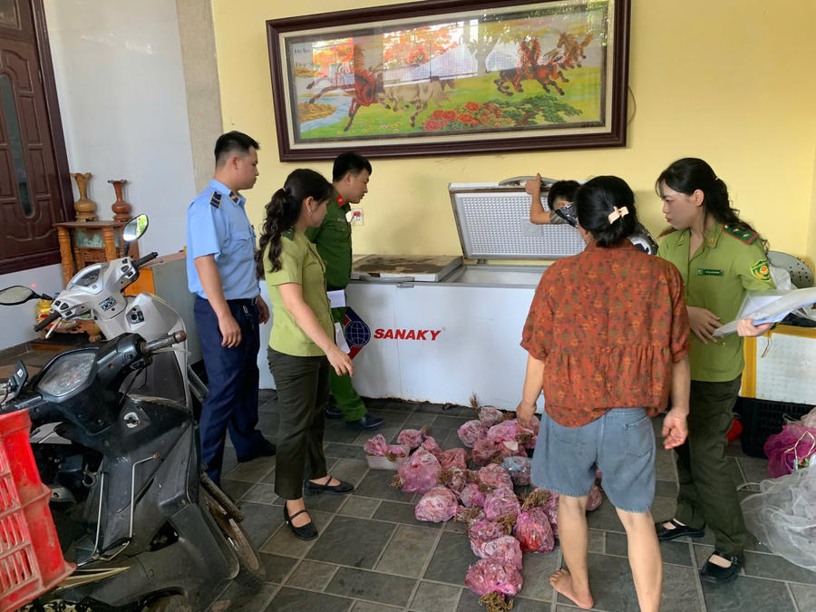 Lực lượng chức năng phát hiện 290 cá thể cò hương đã được làm sạch và đang cấp đông. (Ảnh:&nbsp;Đội QLTT số 2)