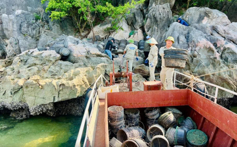 Toàn bộ lồng bè nuôi trồng thủy sản trái phép còn tồn dư tại các đảo trên Vịnh Hạ Long đều được thu gom.