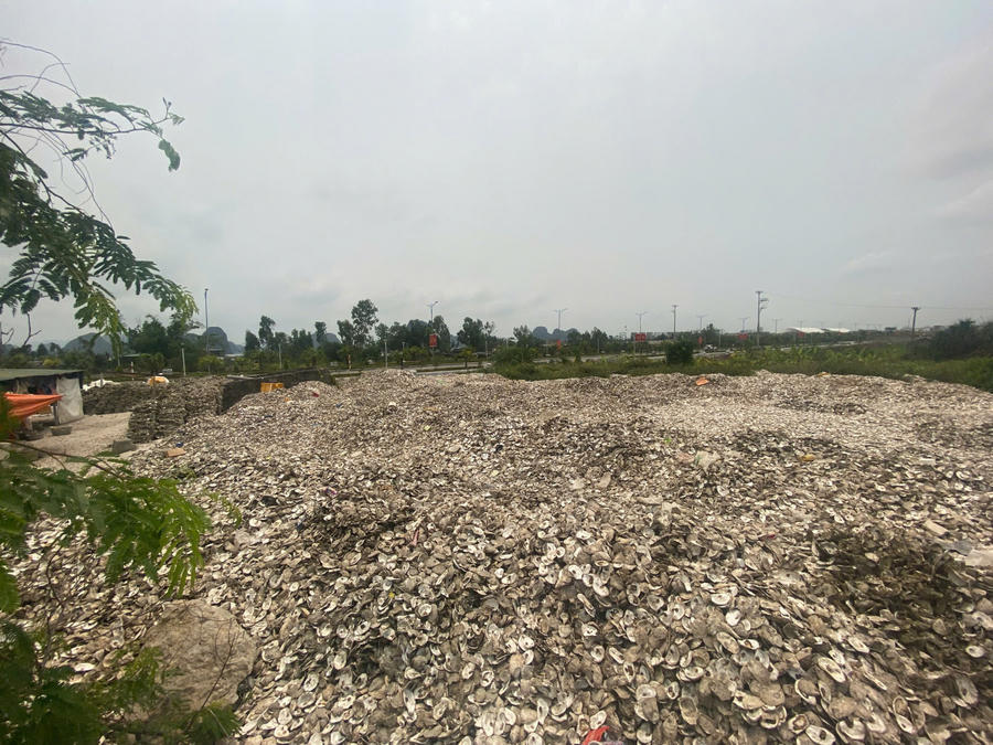 Hiện trường bãi tập kết vỏ hàu