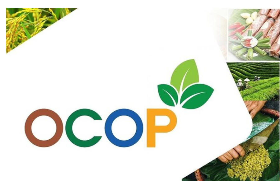 Giấy chứng nhận OCOP giờ đây chỉ có giá trị trong vòng 36 tháng. Ảnh InT