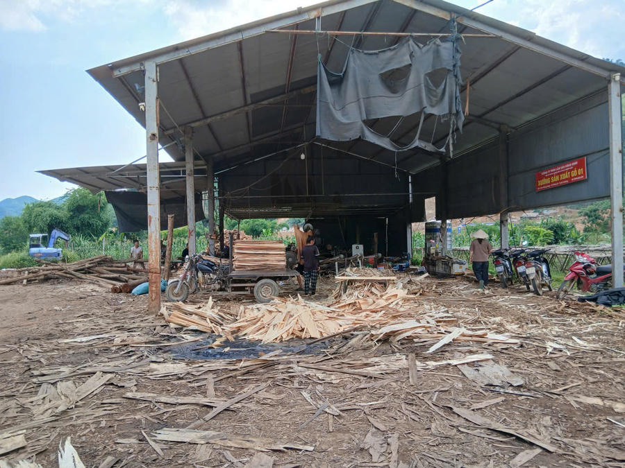Nhiều hộ dân đã mạnh dạn vay mượn đầu tư nhà xưởng, máy móc phục vụ gỗ ván ép, gỗ băm dăm nhưng lại bị vướng các thủ tục về đất đai, xây dựng đã và đang tạo thành điểm nghẽn cản trở sự phát triển rất cần được UBND tỉnh Tuyên Quang và các sở ngành tháo gỡ để đưa kinh tế lâm nghiệp của xã Hùng Lợi phát triển.