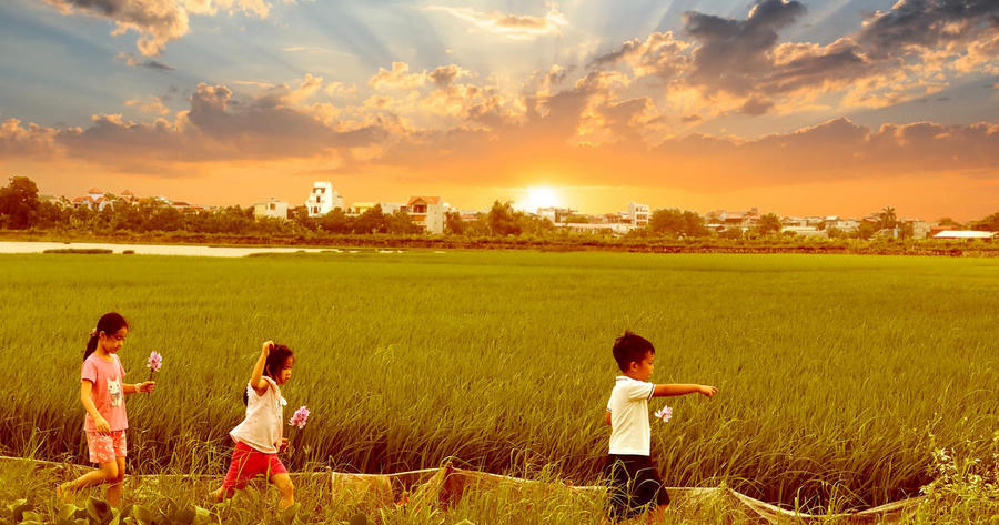 (Hình minh họa). (Hình minh họa).