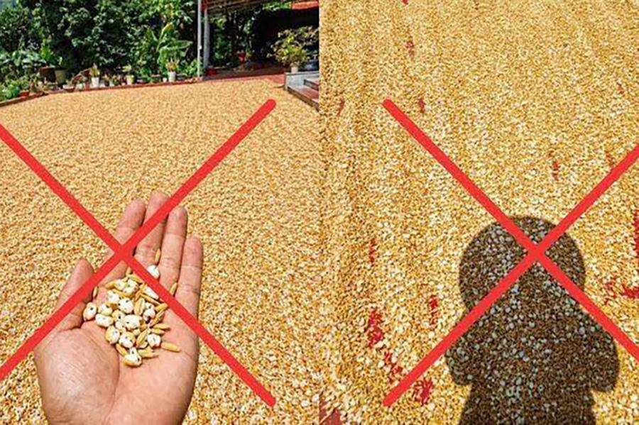 Hình ảnh sai sự thật được ông N.H.Đ. đăng lên mạng xã hội. Ảnh chụp màn hình