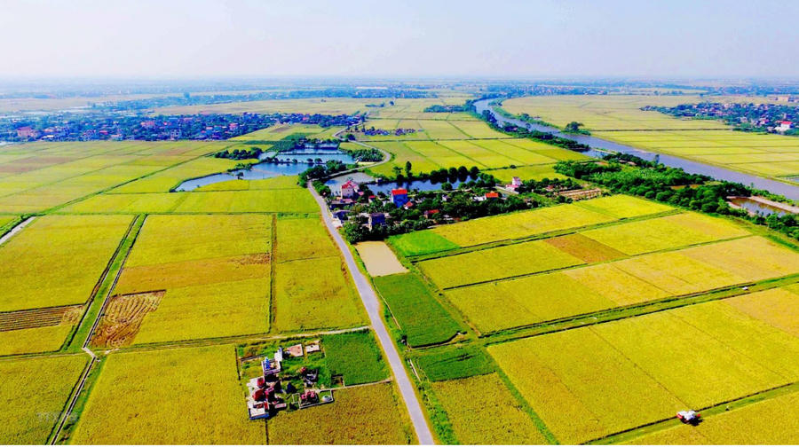 Các địa phương được đề nghị đẩy nhanh tiến độ tính và thu tiền sử dụng đất theo quy định mới để bảo đảm quyền lợi cho người dân. Ảnh InT