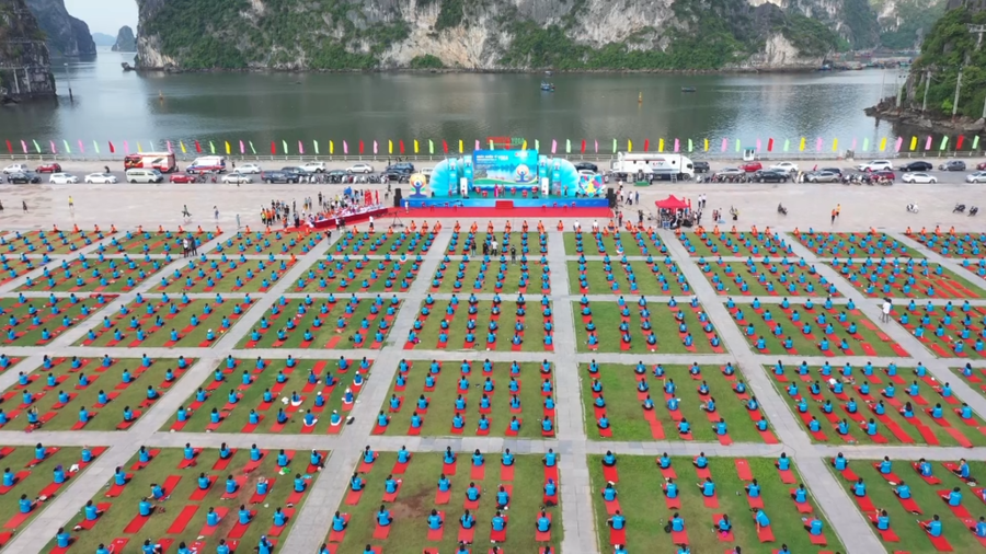Dự kiến sẽ có hơn 3.000 người tham gia Ngày Quốc tế Yoga năm 2026 tại Quảng trường 30/10, phường Hạ Long.