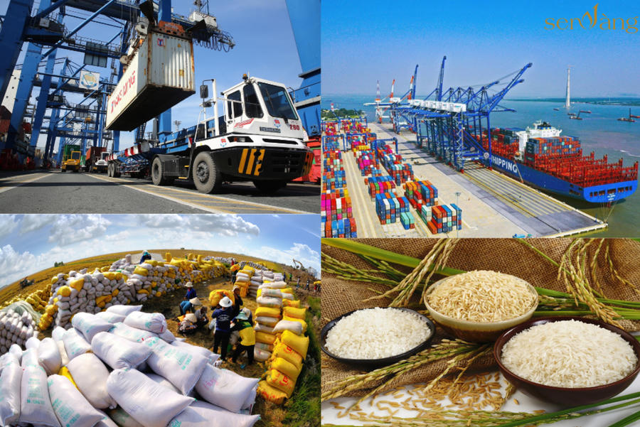 Hoạt động xuất nhập khẩu hàng hóa 5 tháng đầu năm 2026 đạt 445,12 tỷ USD. Ảnh InT