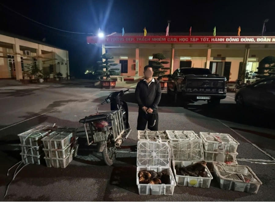 Đối tượng cùng phương tiện và số gia cầm giống không rõ nguồn gốc bị lực lượng Đồn Biên phòng cửa khẩu Hoành Mô phát hiện, bắt giữ.